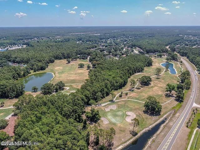 880 Buckeye Ln W, Saint Johns, FL 32259 - bird's eye view of a nearby body of water