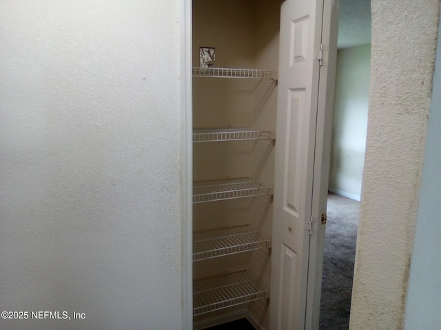 1574 Slash Pine Ct, Orange Park, FL 32073 - photo 24