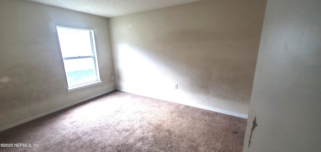 1574 Slash Pine Ct, Orange Park, FL 32073 - photo 13