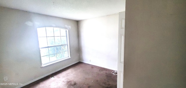 1574 Slash Pine Ct, Orange Park, FL 32073 - photo 15