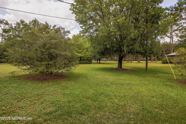 11218 Old Plank Rd, Jacksonville, FL 32220 - photo 3