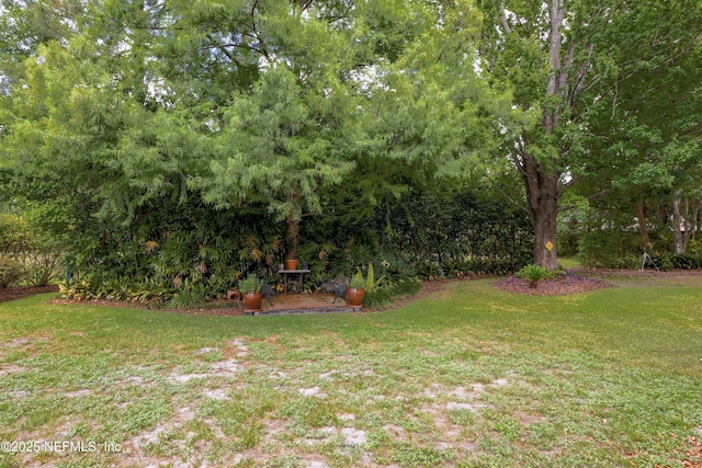 11218 Old Plank Rd, Jacksonville, FL 32220 - photo 11
