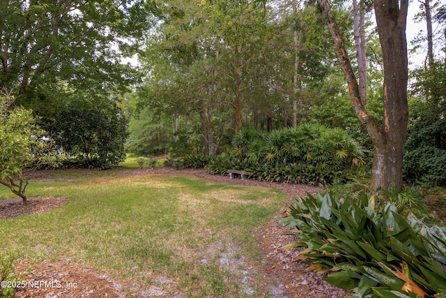 11218 Old Plank Rd, Jacksonville, FL 32220 - photo 12