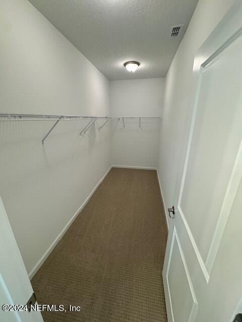 193 Silver Heron Way, Saint Augustine, FL 32092 - spacious closet with carpet floors