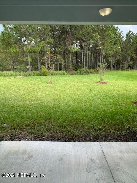 193 Silver Heron Way, Saint Augustine, FL 32092 - view of green lawn
