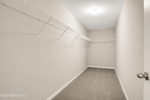 715 Hiddenwood Way, Orange Park, FL 32065 - photo 14