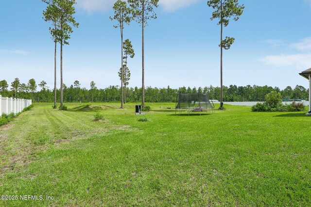36461 Shortleaf Ave, Hilliard, FL 32046 - view of yard with a trampoline