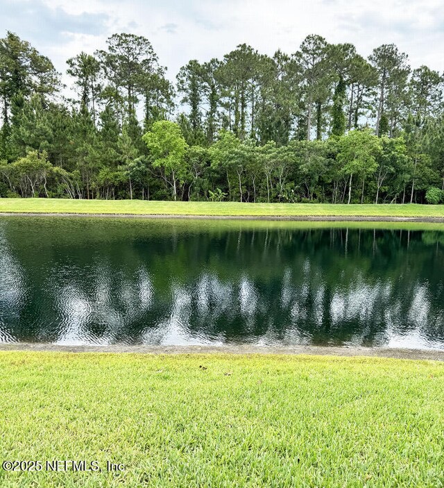 2979 Lucena Ln, Jacksonville, FL 32246 - photo 16
