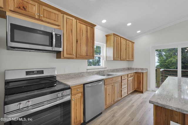 159 Mays Cove Rd, East Palatka, FL 32131 - photo 62
