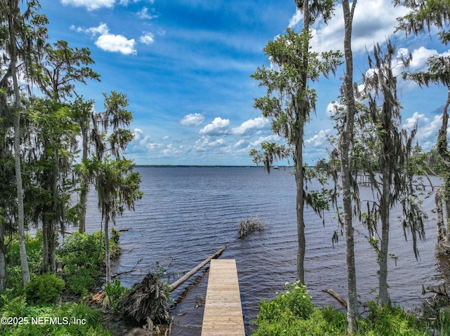159 Mays Cove Rd, East Palatka, FL 32131 - photo 76