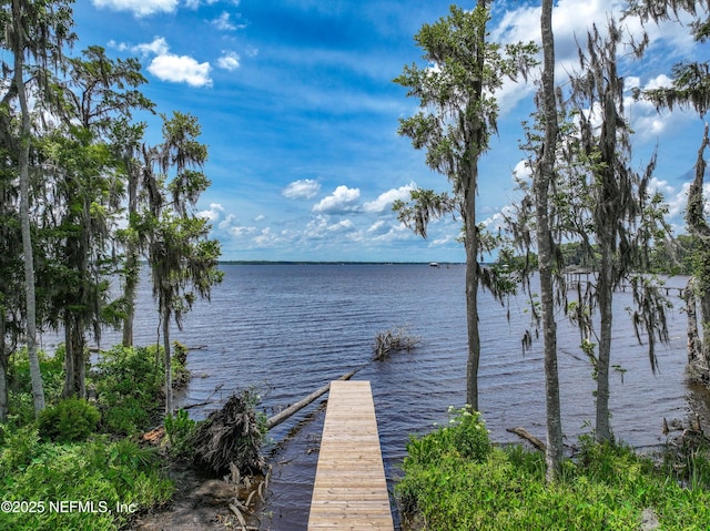 159 Mays Cove Rd, East Palatka, FL 32131 - photo 77