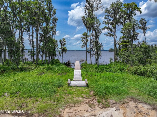 159 Mays Cove Rd, East Palatka, FL 32131 - photo 81