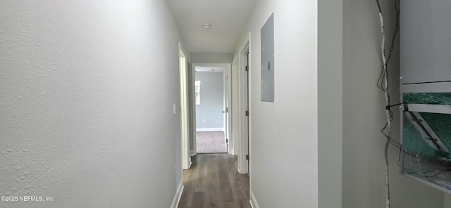 3537 Henrietta St, Jacksonville, FL 32209 - photo 16