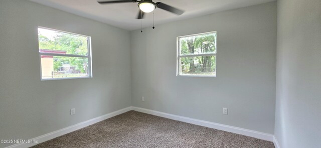 3537 Henrietta St, Jacksonville, FL 32209 - photo 17