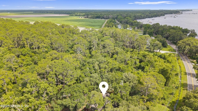 156 County Road 13, Saint Augustine, FL 32092 - bird's eye view of a heavily wooded area
