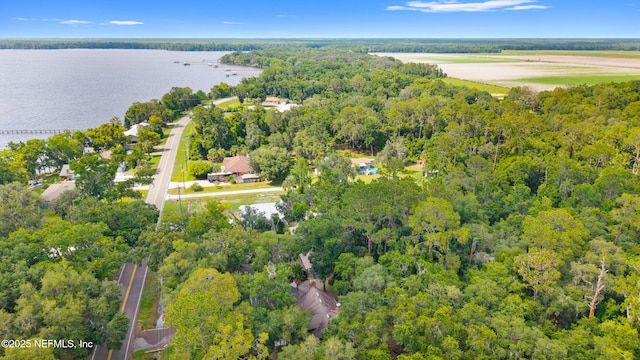 156 County Road 13, Saint Augustine, FL 32092 - aerial overview of property's location with a forest and a large body of water