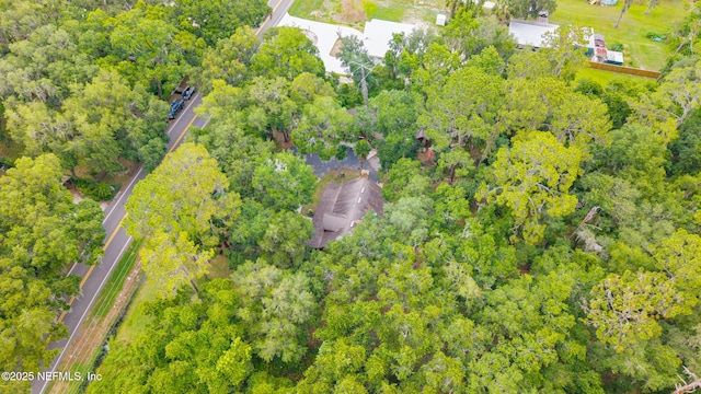 156 County Road 13, Saint Augustine, FL 32092 - view of property location with a forest