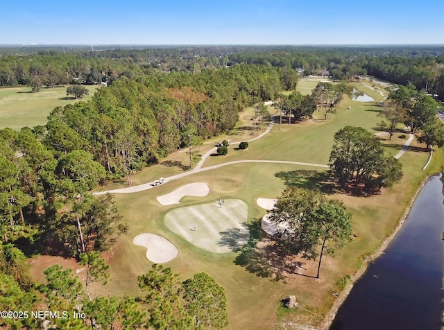 828 Lotus Ln N, Saint Johns, FL 32259 - bird's eye view of a forest, a large body of water, and a golf course