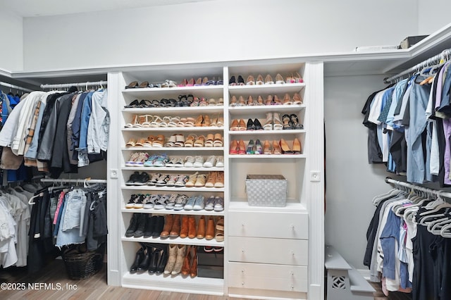 828 Lotus Ln N, Saint Johns, FL 32259 - spacious closet featuring wood finished floors