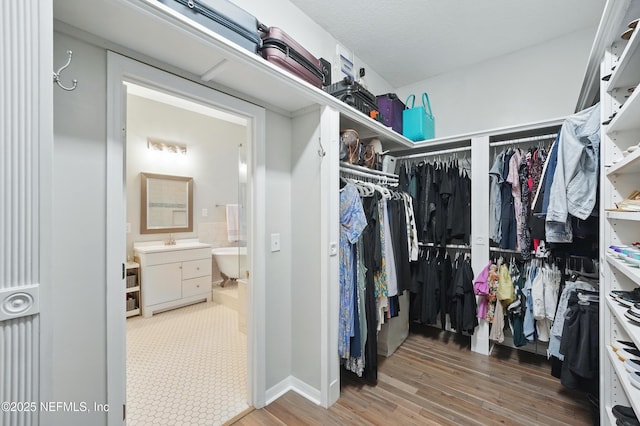 828 Lotus Ln N, Saint Johns, FL 32259 - spacious closet featuring wood finished floors and a sink