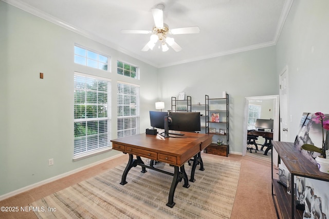 828 Lotus Ln N, Saint Johns, FL 32259 - home office with light carpet, crown molding, plenty of natural light, and ceiling fan