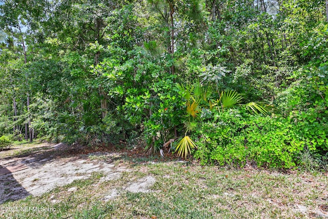 905 Colon Ln, Jacksonville, FL 32218 - photo 35