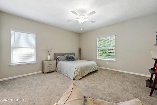 905 Colon Ln, Jacksonville, FL 32218 - photo 17