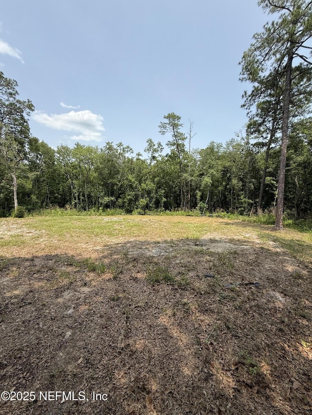 74 Conifer Cir, Middleburg, FL 32068 - view of woods