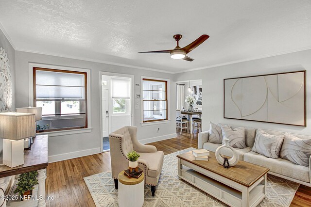3741 Orlando Cir E, Jacksonville, FL 32207 - living room featuring ceiling fan, wood-type flooring, ornamental molding, baseboards, and a textured ceiling