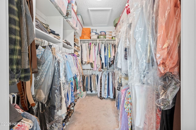 231 Barrataria Dr, Saint Augustine, FL 32080 - walk in closet with attic access and carpet