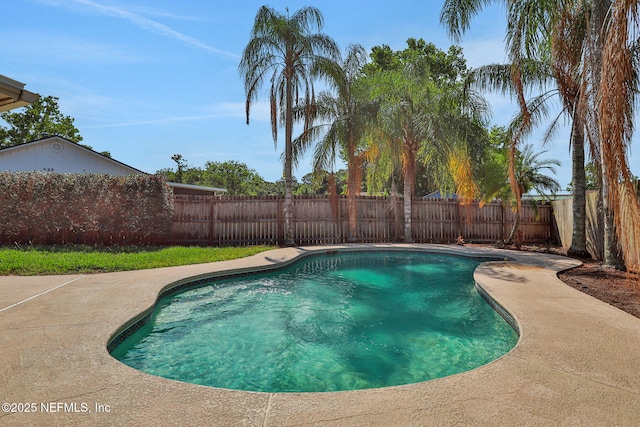 2650 Cardigan Ct, Orange Park, FL 32065 - view of swimming pool featuring a fenced backyard and a patio area