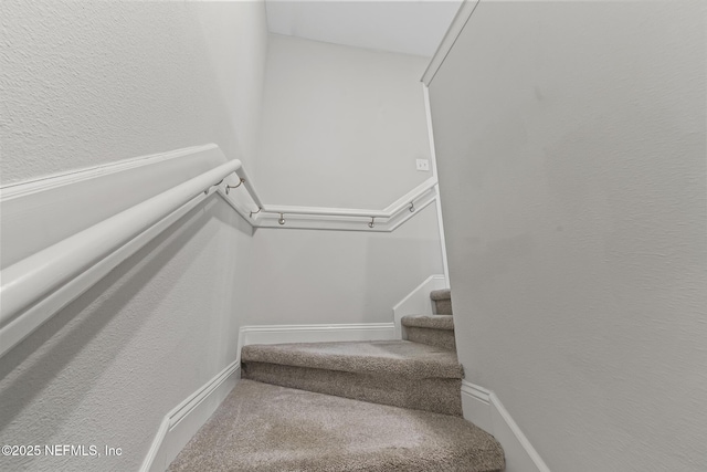 14098 Sterely Ct S, Jacksonville, FL 32256 - photo 12