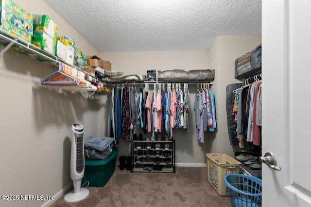 3912 Pipit Pt, Middleburg, FL 32068 - walk in closet featuring carpet floors