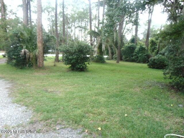 1257 State Road 19, Palatka, FL 32177 - photo 3