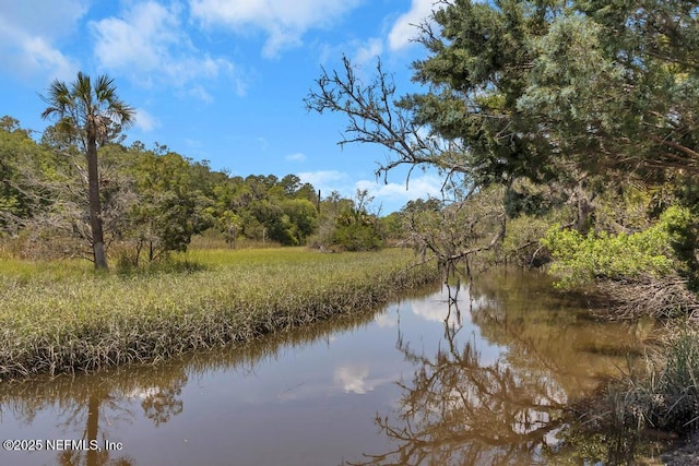 4604 Clapboard Crossing Way, Jacksonville, FL 32226 - water view with a forest