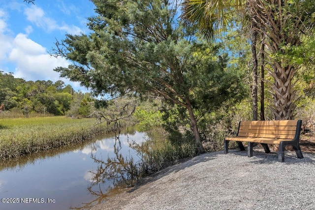 4604 Clapboard Crossing Way, Jacksonville, FL 32226 - water view