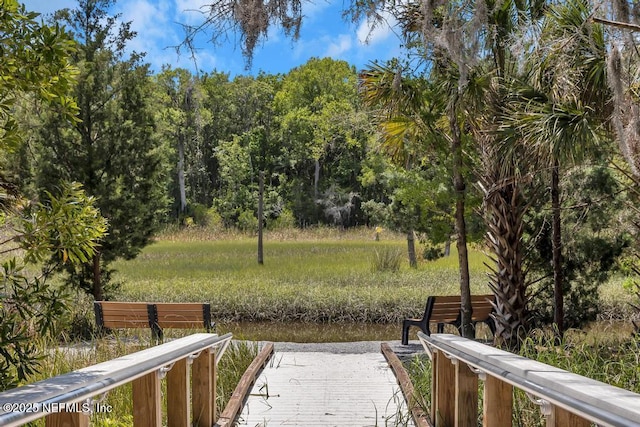 4604 Clapboard Crossing Way, Jacksonville, FL 32226 - view of yard with a dock