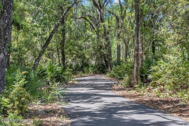 4604 Clapboard Crossing Way, Jacksonville, FL 32226 - view of street with a forest view