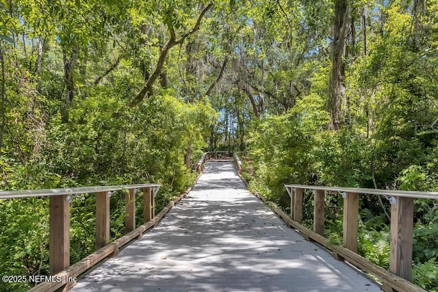 4604 Clapboard Crossing Way, Jacksonville, FL 32226 - view of surrounding community