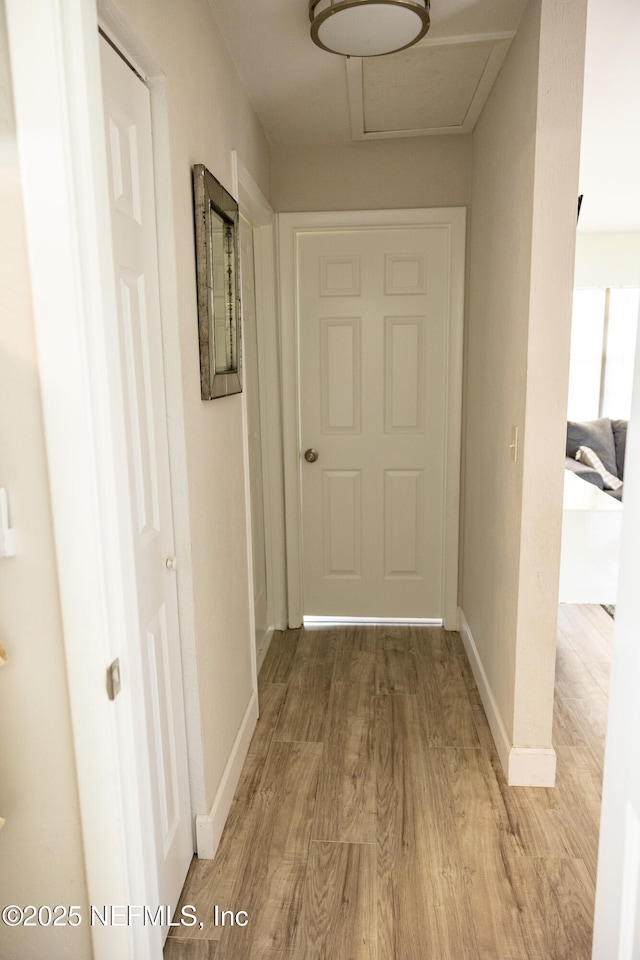 14 Ballard Ln, Palm Coast, FL 32137 - corridor with light wood-style floors and baseboards