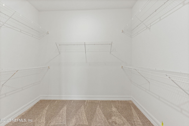2446 Glade Ln, Green Cove Springs, FL 32043 - spacious closet featuring carpet