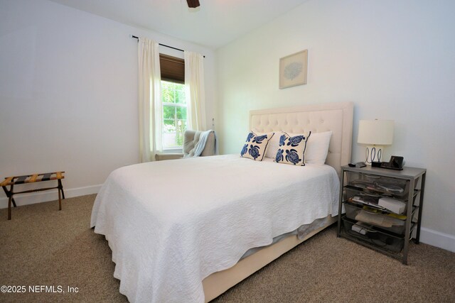 2175 Club Lake Dr, Orange Park, FL 32065 - photo 59