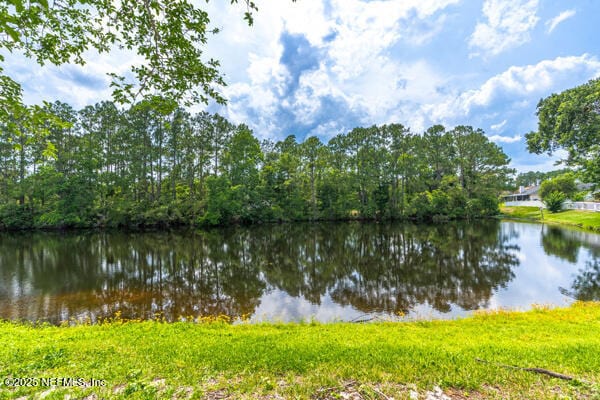 4420 Timber Hollow Way, Jacksonville, FL 32224 - photo 23