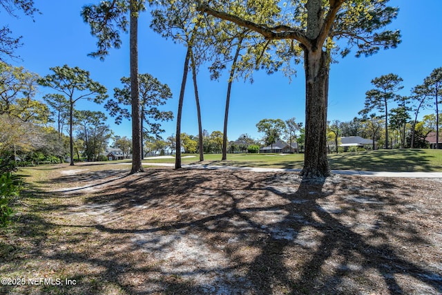 13022 Huntley Manor Dr, Jacksonville, FL 32224 - view of community with a yard