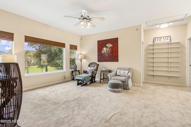 323 Legacy Dr, Orange Park, FL 32073 - photo 44