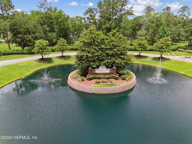 323 Legacy Dr, Orange Park, FL 32073 - photo 84