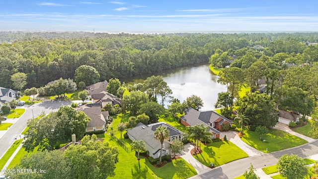 1758 Country Walk Dr, Fleming Island, FL 32003 - aerial view of residential area with a large body of water and a heavily wooded area