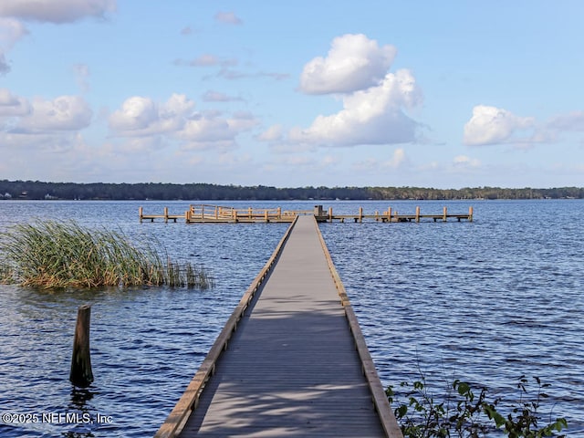 1758 Country Walk Dr, Fleming Island, FL 32003 - dock area with a water view