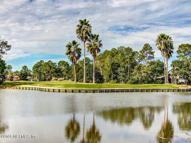 1758 Country Walk Dr, Fleming Island, FL 32003 - water view with a tree filled landscape