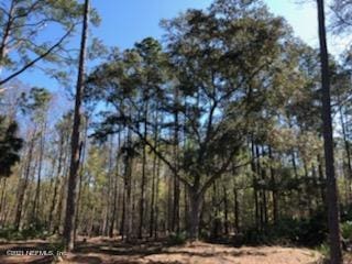 2850 Hilltop Rd, Saint Augustine, FL 32086 - photo 9